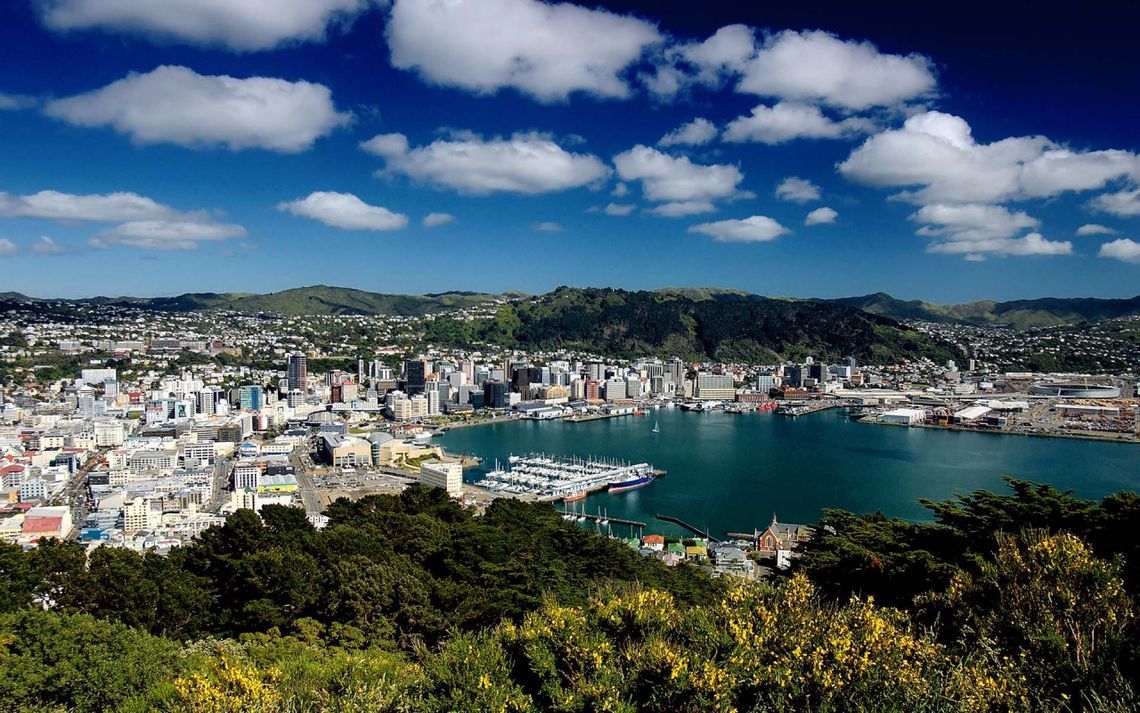 https://www.equatorial.by/sites/default/files/content/wellington003.jpg