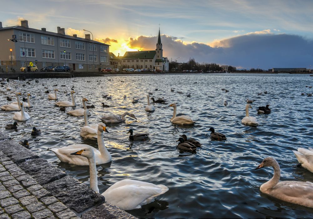 Рейкьявик (Reykjavik) | Экваториал